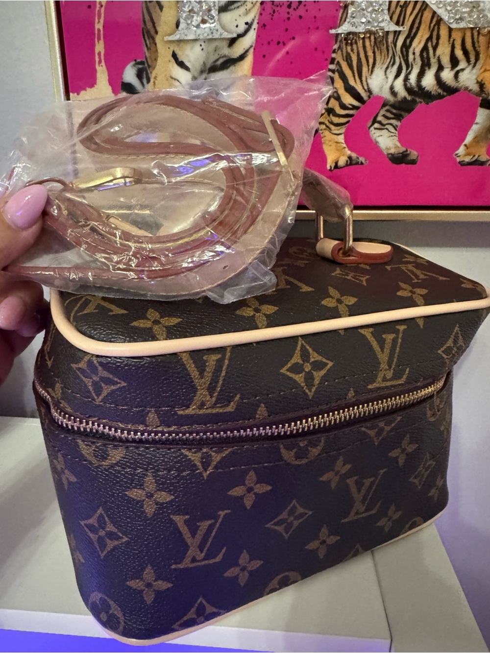 Louis Vuitton Monogram Canvas Vanity Case in Brown and Beige